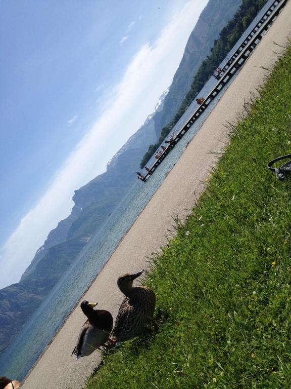 אלטמונסטר Apartment Parkvilla Traunsee מראה חיצוני תמונה